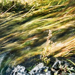 w1th0u7_u