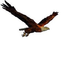 •?((¯°·._.• β € ɲ ƶ ๏ β ๏ ɨ •._.·°¯))؟• B3NZ0B01:-