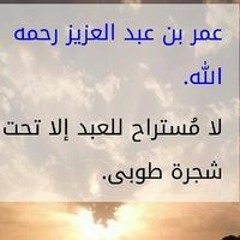 أبو ريم