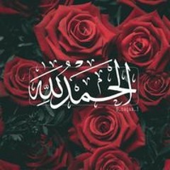 Éḿ Mahmoud
