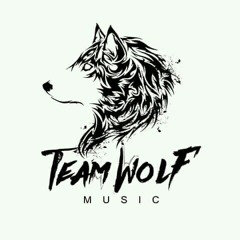 Teamwolfmusic Angola