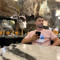 Amir Mohammadi