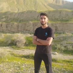 Ali.Alavi