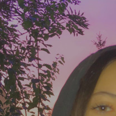 saskia.shx