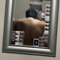 manic_eddie