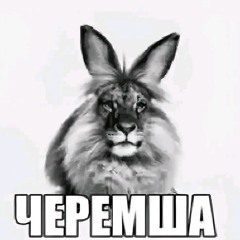 ЧЕРЕМША