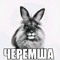 ЧЕРЕМША