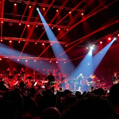 damir hrnjak