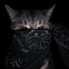 rulxx