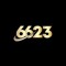 6623 chat