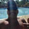 ALVES BR