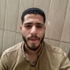 Ahmad M Sobih