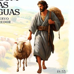 O SOM DAS AGUAS banda