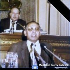 Mohamed Fawzy Badawy