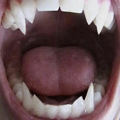 인간적면모