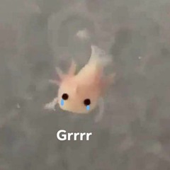 cin.