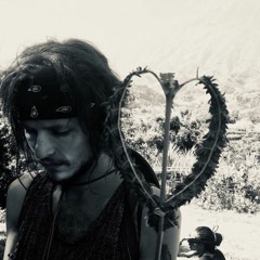 followfint dand 539853068