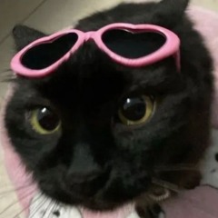 DjJason
