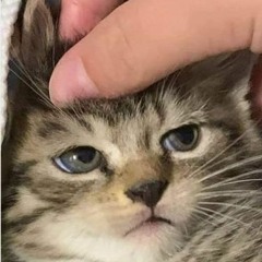 Nimbus