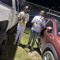 youngjames