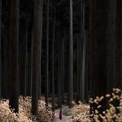 ▌►OCTERACT◄ ▌