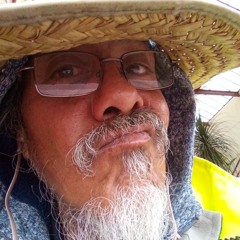 DMTea Hawk*~×∆∆∆×~*Returns