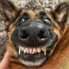 ꎭꍟꅏꎭé꓄ꊼꊼꊼ꓄