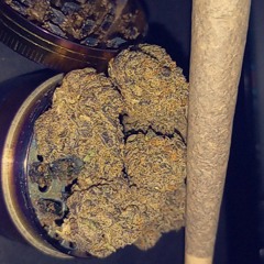 HollowSquad🏁🐺🏁