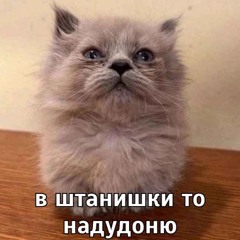 шадошка
