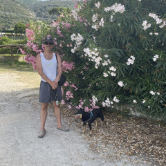 Marco-pichl