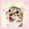 ˚₊‧꒰ა ᴸⁱˢᵃ ໒꒱ ‧₊˚