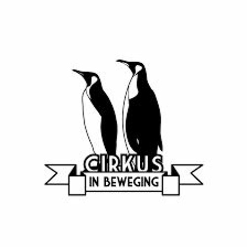 Cirkus in Beweging’s avatar