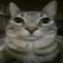 issy