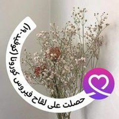 وليد الشامي - روض العشق (حصرياً) - 2015.mp3