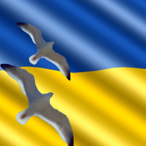 Prussia Blue’s avatar
