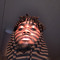 ayo_dir