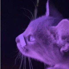 JJDark