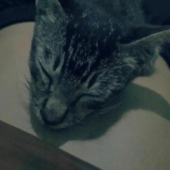 cahbagus