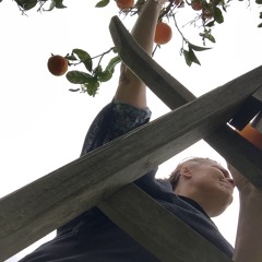 Helena Söderman Bohlin