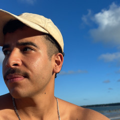 Luiz Moreno (luizmoreno98)