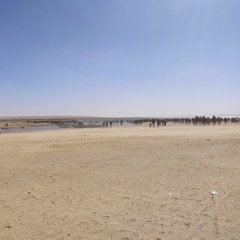 Puisi terjemahan Nidzar Qabbani Aku Bersaksi Bahwa Tiada Wanita Selain Engkau