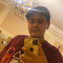 aliaghaei229@