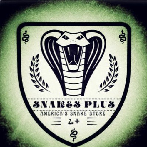 Stream Snakes Plus music | Listen to songs, albums, playlists for free ...