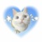 rabbit5683