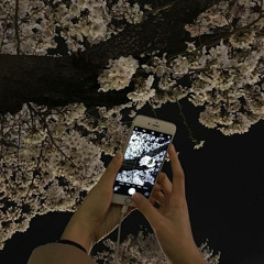 silver moon