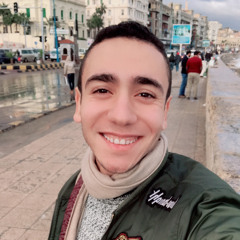 Karim M Metwally