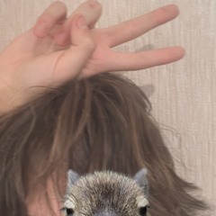 dllxppp