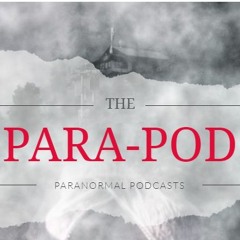 This Paranormal Life