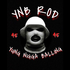 YNB ROD