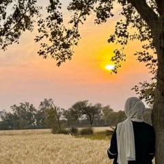 নিশ্চুপ নীরবতা